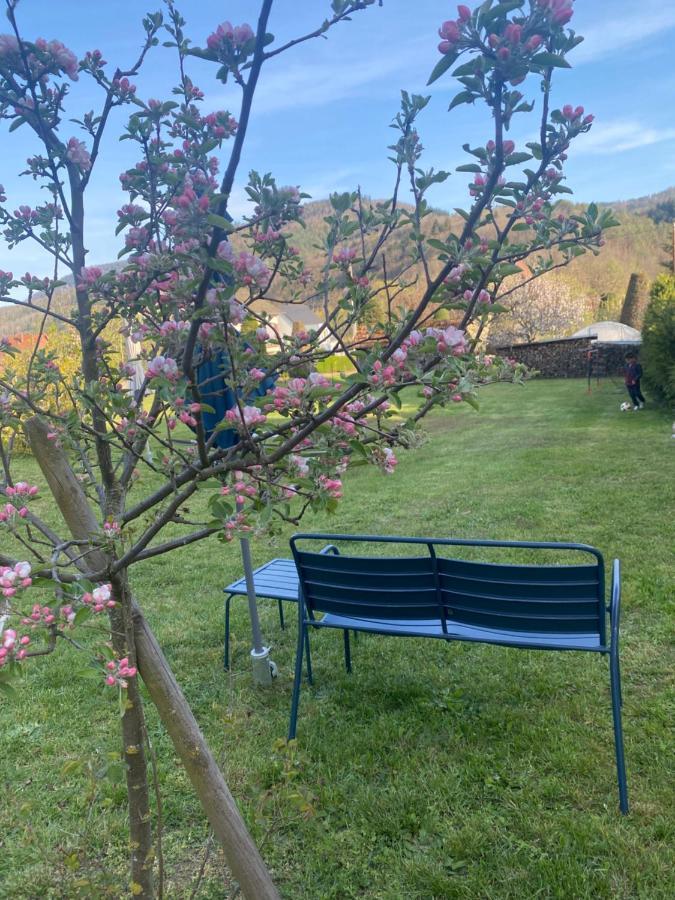 La Ferme Des Colieuvres Villa Lièpvre Dış mekan fotoğraf